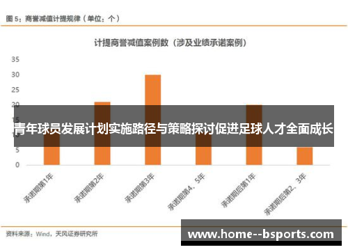 青年球员发展计划实施路径与策略探讨促进足球人才全面成长